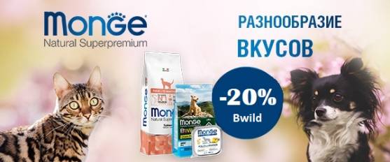 Скидка 20% на Monge BWild GRAIN FREE!