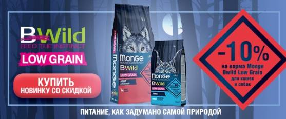 Monge BWild Low Grain со скидкой 10%!