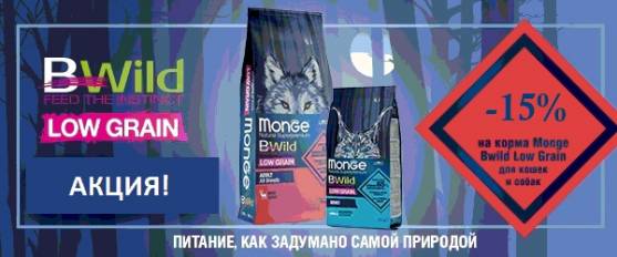 Низкозерновые корма Monge BWild Low Grain со скидкой 15%!