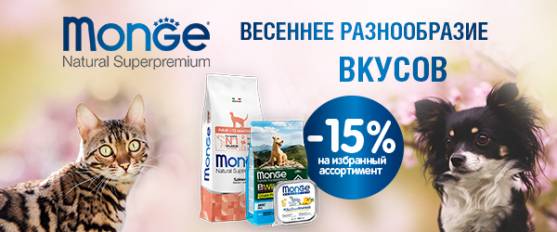 Скидка 15% на корма Monge