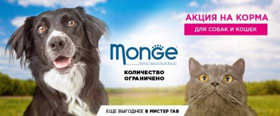 Скидка 10% на консервы Monge!