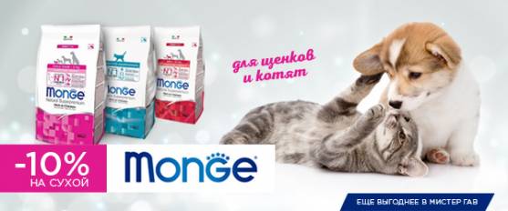 Скидка 10% на сухой корм Monge для щенков и котят!