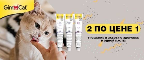 Акция 1+1 на пасты для кошек Gimcat Expert Line!