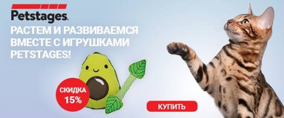 Скидка 15% на игрушки для кошек Petsteges