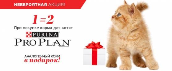 Pro Plan для котят 1+1!