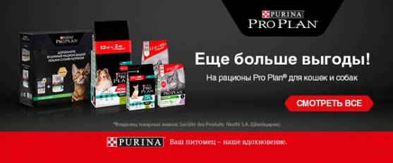 Акционное предложение от Pro Plan!