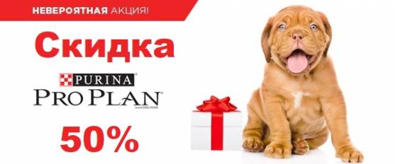 Скидка 50% на Pro Plan!