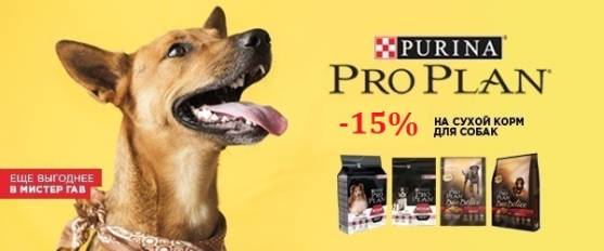 Скидка 15% на большие упаковки Pro Plan!