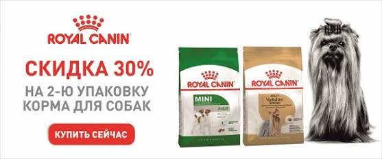 Скидка 30% на вторую упаковку корма для собак Royal Canin!