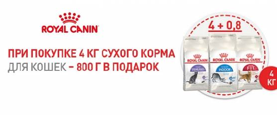 При покупке 4 кг корма Royal Canin - 800 г в подарок!