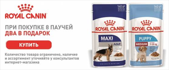 При покупке 8 паучей Royal Canin - 2 пауча в подарок!