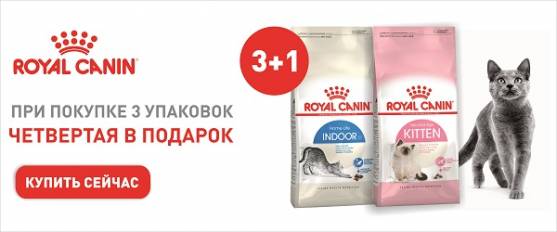 4-ая упаковка корма Royal Canin в подарок!