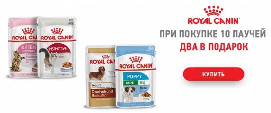 При покупке 10 паучей Royal Canin - 2 пауча в подарок!