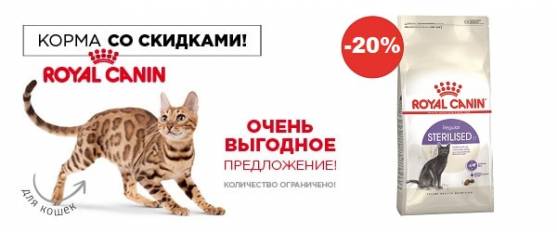 Скидка 20% на Royal Canin для кошек