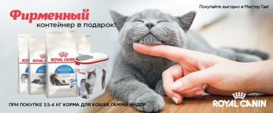 При покупке корма для кошек Royal Canin гаммы Indoor - контейнер в подарок!