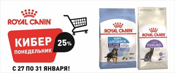 Киберпонедельник с Royal Canin!