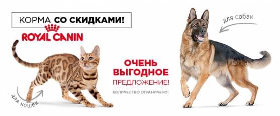 -10% на сухой Royal Canin 