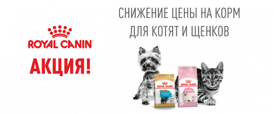 Скидка 30% на вторую упаковку корма для щенков и котят Royal Canin!