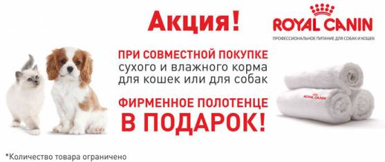 Полотенце Royal Canin в подарок при покупке влажного и сухого корма