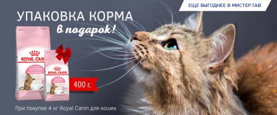 При покупке 4 кг корма Royal Canin для котят - упаковка 400 г в подарок!