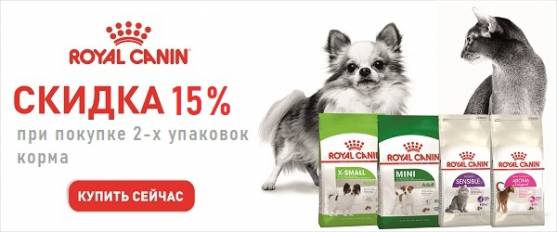 При покупке 2-х упаковок корма Royal Canin - скидка 15%!