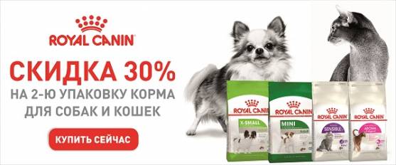 -30% на вторую упаковку корма Royal Canin