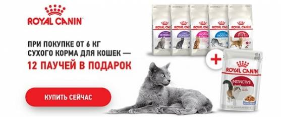 При покупке 6 кг Royal Canin для кошек - 12 паучей в подарок!