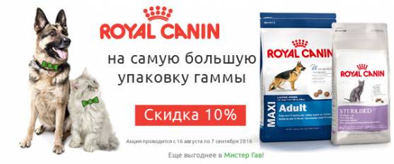 Скидка 10% на большие упаковки Royal Canin!