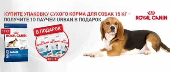 При покупке корма для собак Royal Canin упаковка влажного корма в подарок!