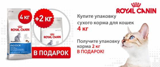 Упаковка 2 кг в подарок при покупке 4 кг Royal Canin для кошек!