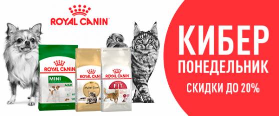 Кибер скидки на корм Royal Canin!