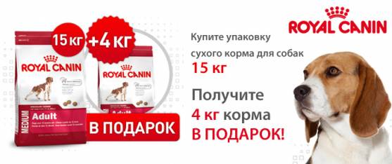 Упаковка 4 кг в подарок при покупке 15 кг Royal Canin для собак!