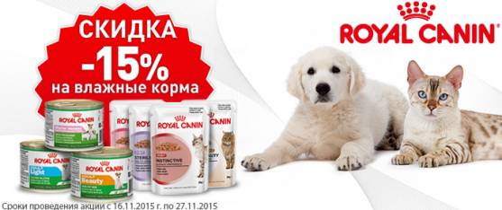 Скидка 15% на влажные корма Royal Canin!