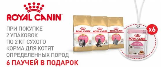 При покупке 2 упаковок 2 кг Royal Canin для котят - 6 паучей в подарок!