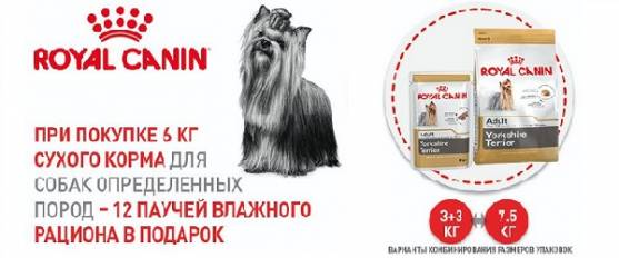 При покупке Royal Canin для определенных пород - коробка паучей в подарок!