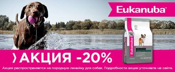 -20% на породную линейку Eukanuba