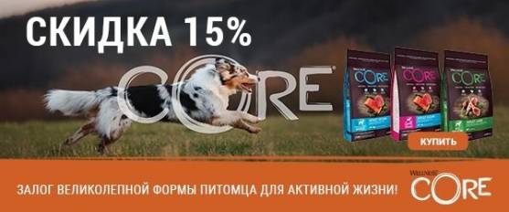 Скидка 15% на корма для собак Wellness Core на ягненке и лососе!