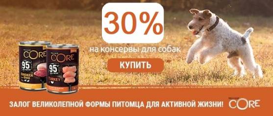 Консервы Wellness Core для собак по отличному предложению - 30%