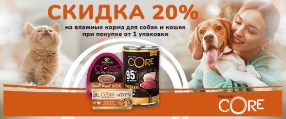 Скидка 20% на консервы Wellness Core!