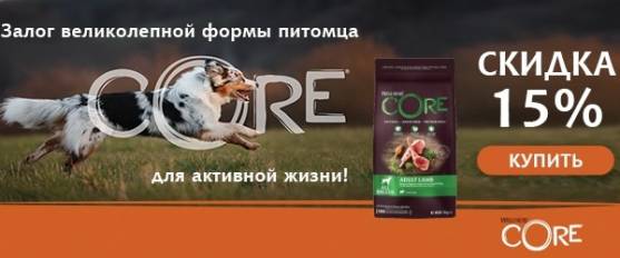 Скидка 15% на Wellness Core с ягненком