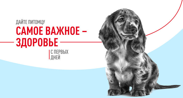 Royal Canin для щенков