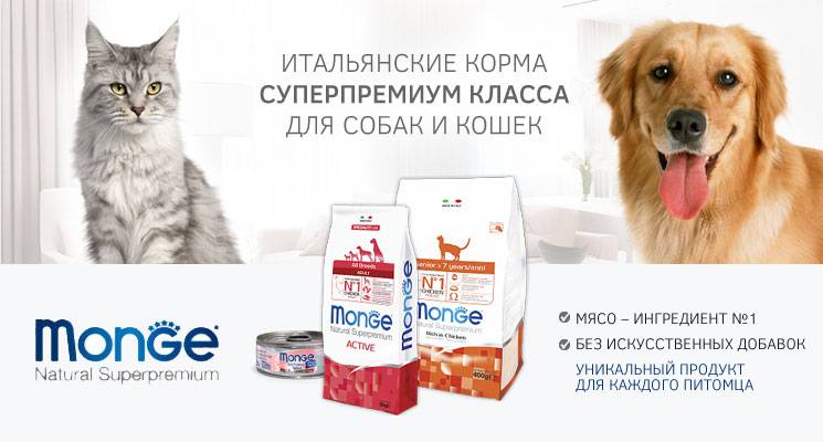 Корма Monge