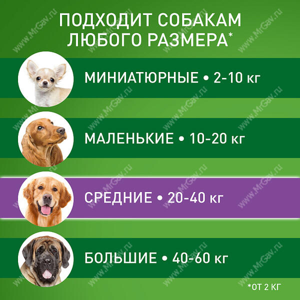 Фронтлайн Комбо L капли 2,68 мл п/паразит. 20-40 кг д/собак - Интернет ...