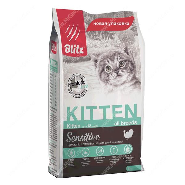 Blitz Kitten - Интернет-зоомагазин Мистер Гав