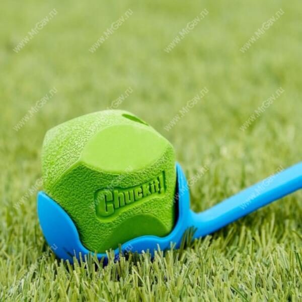 Chuckit erratic deals