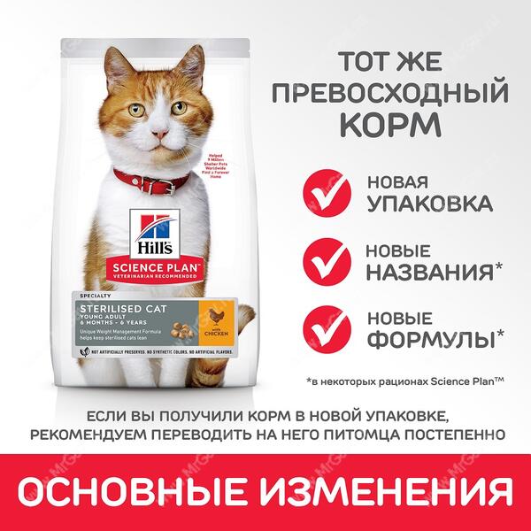 Купить Хиллс Для Кошек В Новосибирске