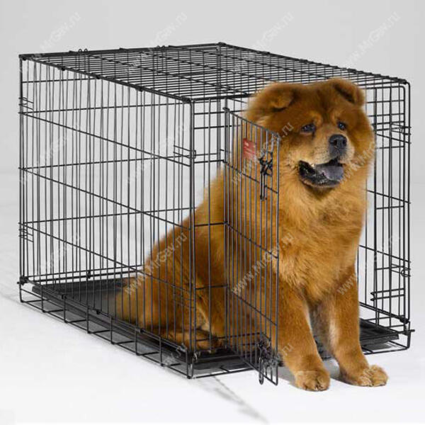 Клетка для средней собаки