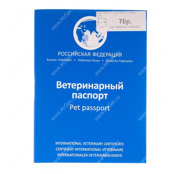 Если и вводить визовый режим с Россией, то только биометрический, - Климкин - Цензор.НЕТ 2891