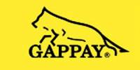 Gappay