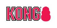 Логотип Kong
